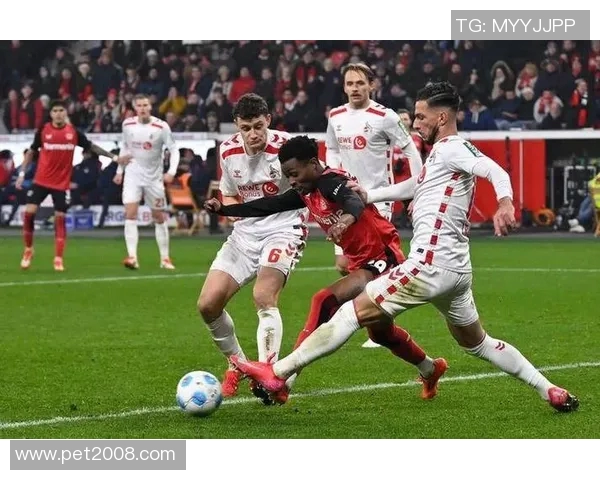 2019年科隆与汉堡激战回顾:一场精彩的德甲对决与战术较量