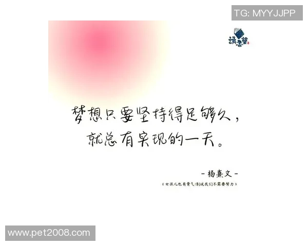 何思雨：在风雨中追寻梦想的勇者与坚持者的故事