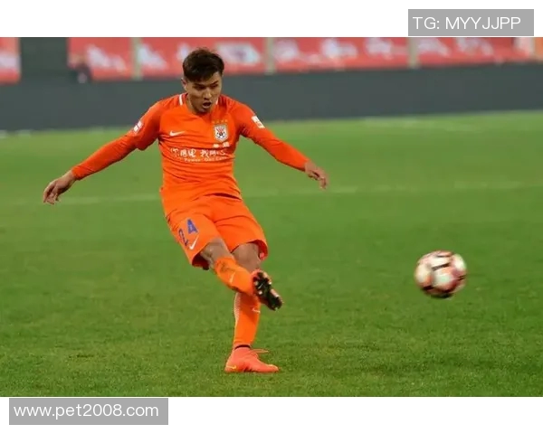 京多安的足球之路：从青年才俊到世界级中场的辉煌历程与成就