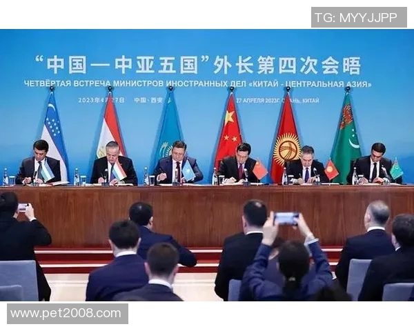 中国与菲律宾足球比赛技术统计全面分析与对比探讨