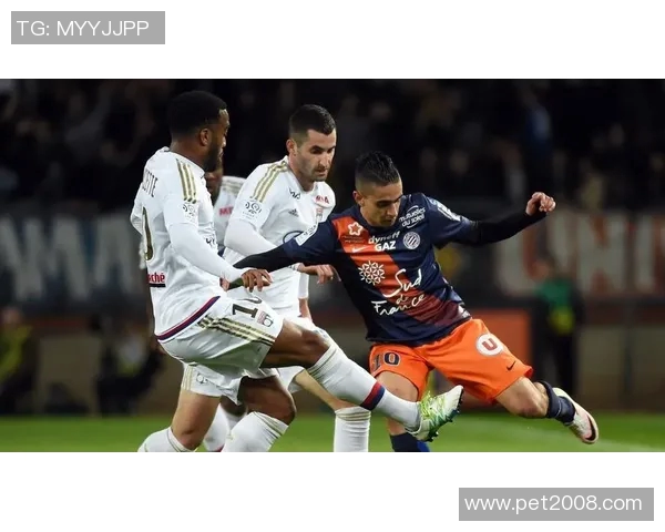 南特与沙托鲁激战正酣比分揭晓精彩瞬间回顾